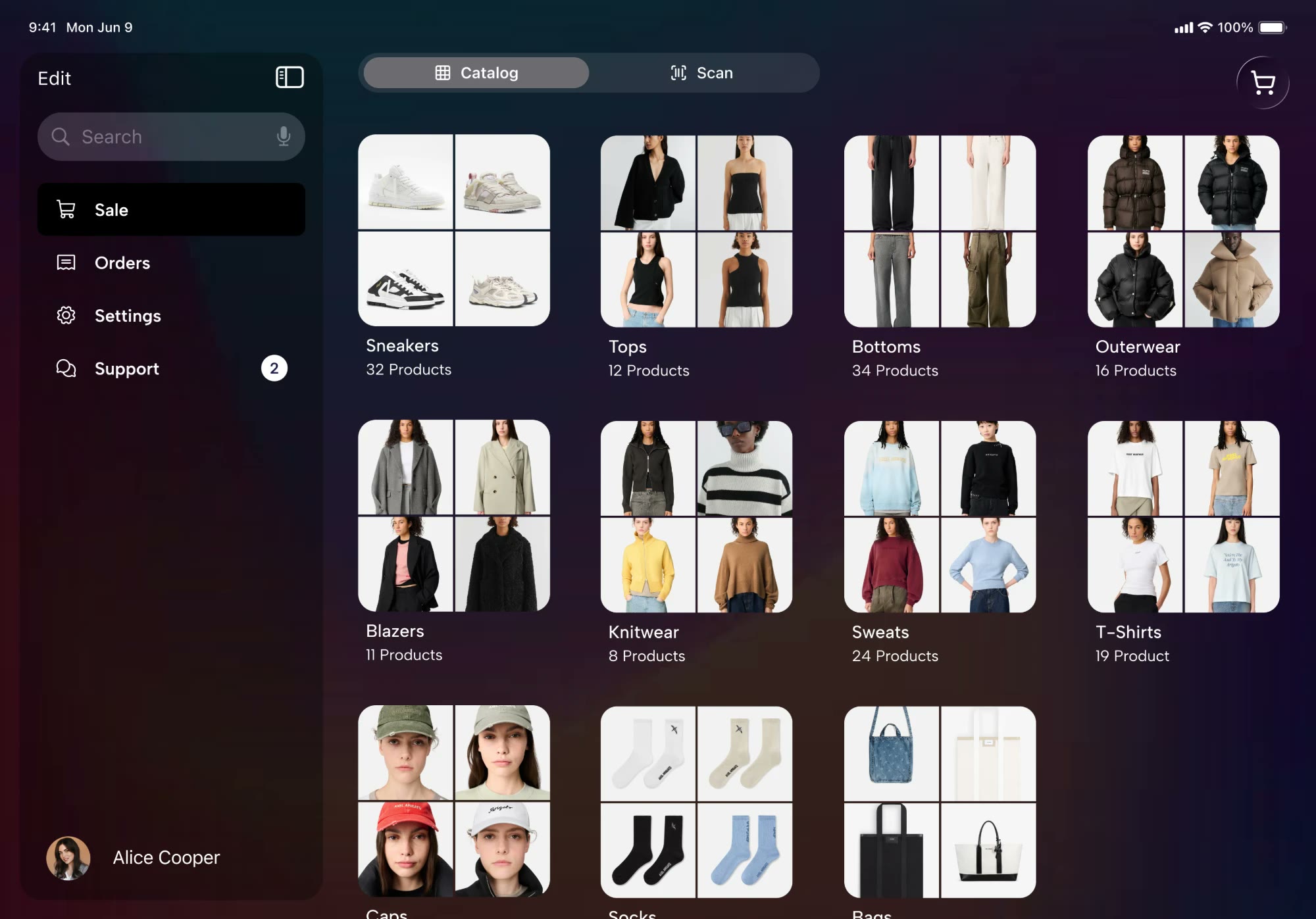 iPad catalogue, the design